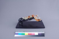 七喜藏品圖，第2張