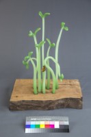 生生不息藏品圖，第2張