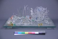 海洋藏品圖，第2張