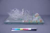 海洋藏品圖，第4張