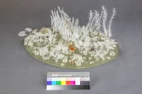 遊民藏品圖，第3張