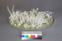 遊民藏品圖，第4張