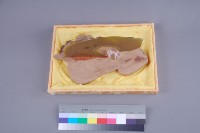 流藏品圖，第4張