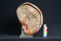 福耳藏品圖，第5張