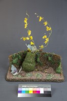 葫蘆藏品圖，第2張