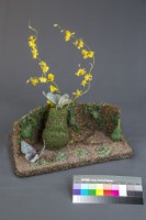 葫蘆藏品圖，第3張