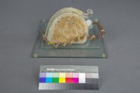 彩雲飛藏品圖，第3張