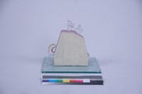 戀戀米粉情藏品圖，第4張