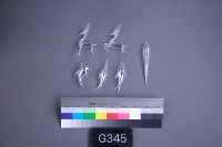 1981~1985系列藏品圖，第11張