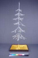 時空之美藏品圖，第2張