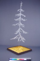 時空之美藏品圖，第3張