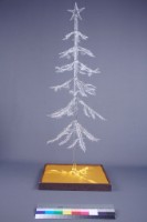 時空之美藏品圖，第4張