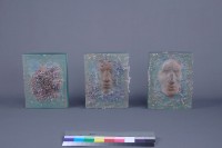 不生不滅藏品圖，第2張