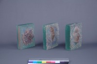 不生不滅藏品圖，第3張
