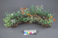 台灣新文化藏品圖，第3張