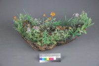 台灣新文化藏品圖，第4張