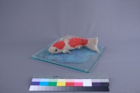 金鯉魚藏品圖，第3張