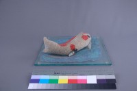 金鯉魚藏品圖，第4張