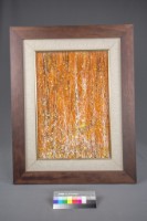 重生叢生4.8藏品圖，第2張