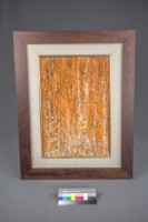 重生叢生4.8藏品圖，第3張