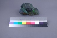 蟾蜍藏品圖，第1張