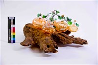 豐碩藏品圖，第1張