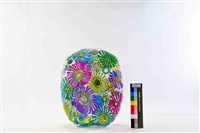 綻放花朵藏品圖，第1張