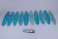 我不知道風從那一個方向吹藏品圖，第11張