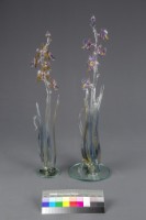 花的系列藏品圖，第3張