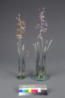 花的系列藏品圖，第4張