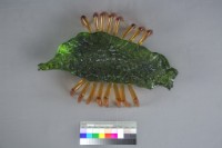 遊走八方藏品圖，第4張