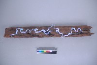 歲月的痕跡藏品圖，第4張