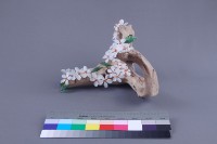 初夏戀歌藏品圖，第3張