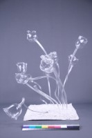 玻璃花藏品圖，第4張