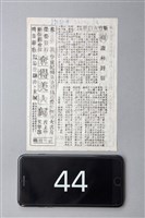 森林野貓藏品圖，第1張
