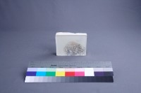 諸事圓滿藏品圖，第4張