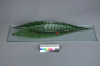 自在藏品圖，第2張