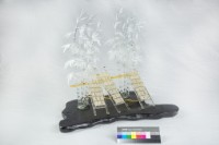 風城米粉情藏品圖，第3張