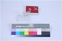 空軍499聯隊紀念徽章藏品圖，第1張