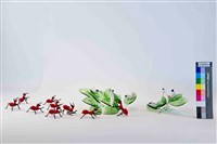 圍藏品圖，第1張