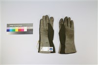 手套藏品圖，第1張