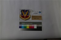 美國空軍戰術司令部隊徽臂章藏品圖，第1張