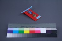 彤弓獎章藏品圖，第3張