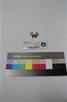 授勳時所掛之底座藏品圖，第1張