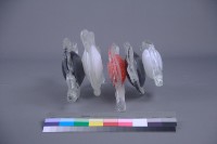 原民之舞藏品圖，第4張