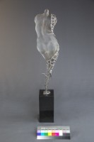 樹齡的化生(一)藏品圖，第2張