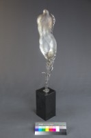 樹齡的化生(一)藏品圖，第3張