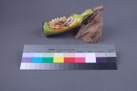 夢藏品圖，第1張