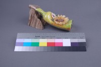 夢藏品圖，第3張