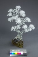 松柏長青藏品圖，第2張